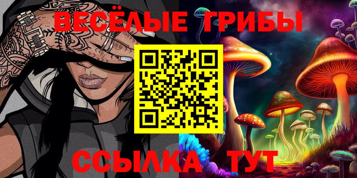 сколько стоит  Галлюциногенные грибы мицелий  Вход с VPN  Тихвин 