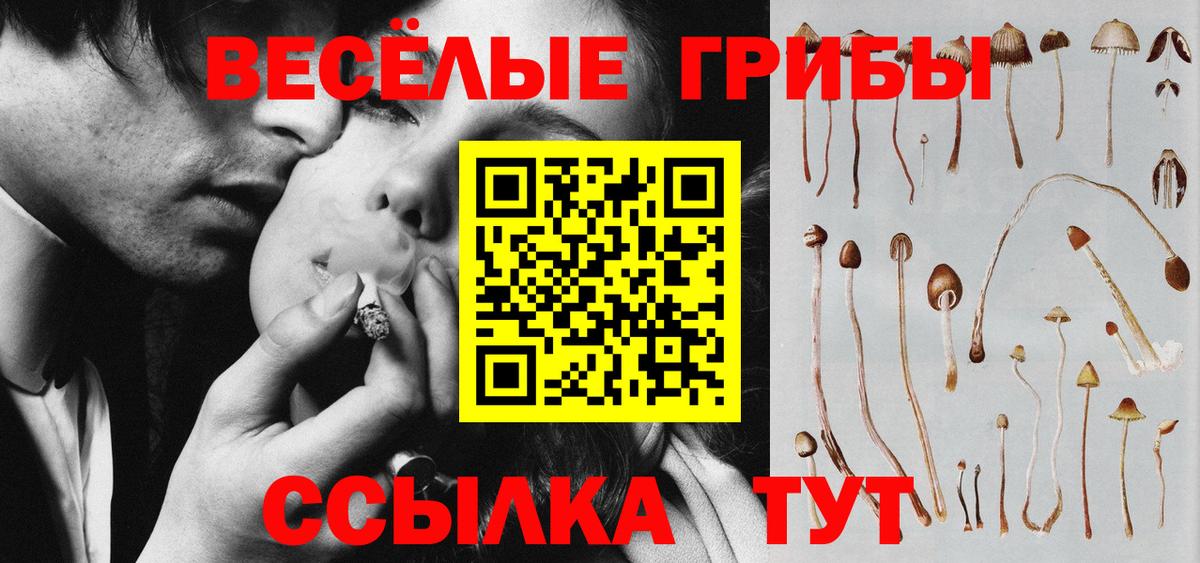 Псилоцибиновые грибы прущие грибы Тихвин